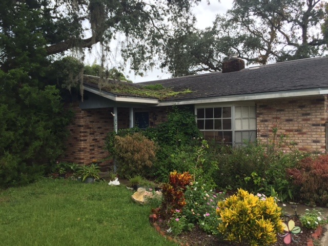 Just Sold- 677 Reillys Road